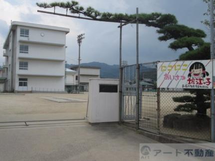 画像17:堀江小学校(小学校)まで853m