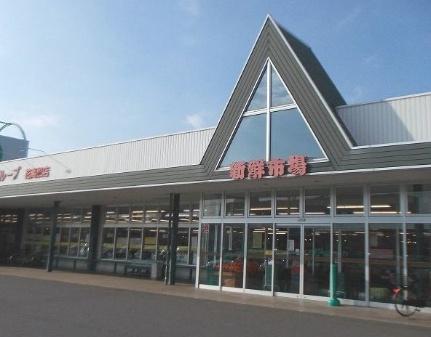 画像14:新鮮市場(スーパー)まで100m