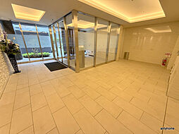 Cherry Blossom 五条通