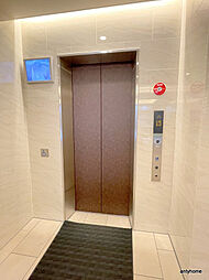 Cherry Blossom 五条通