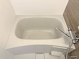 Cherry Blossom 五条通