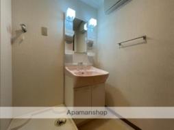 ラフィネ小鶴新田