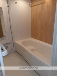 フォルトゥーナII