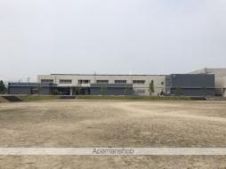 イースト ワン ピース